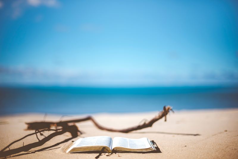 Book in nature representing the reader - Photo by Ben White