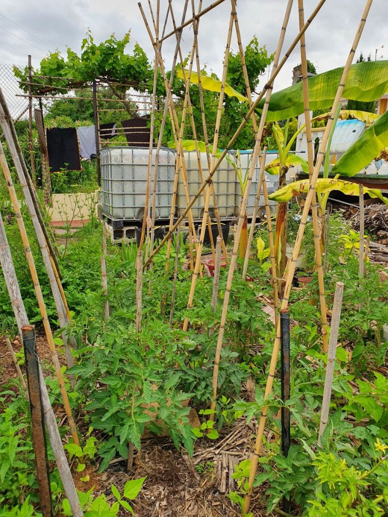 reduire sa consommation d'eau au jardin avec  systeme de recuperation d'eau de pluie